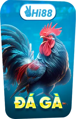 Đá gà Hi88